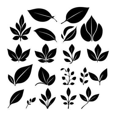 Tasarım için siyah siluet yaprak simgeleri koleksiyonu