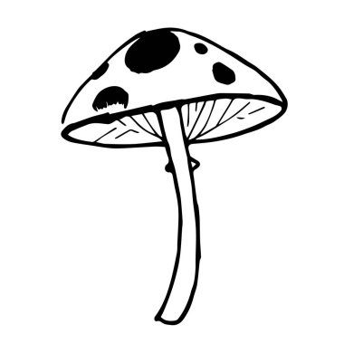 El çizimi siyah ve beyaz mantar çizimi