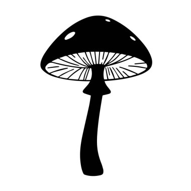 Tek bir mantarın siyah beyaz çizimi