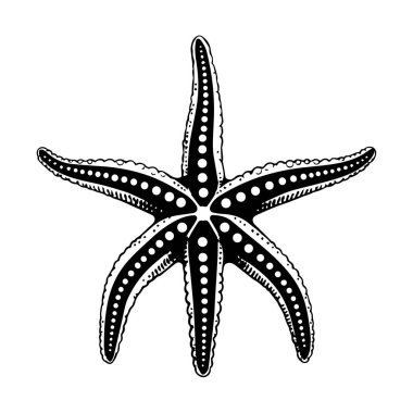 Siluet Biçimli Karmaşık Nokta Desenleriyle Ayrıntılı Siyah ve Beyaz Denizyıldızı Çizimi