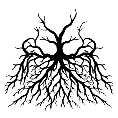Ayrıntılı ağaç kökleri silüeti çizimi beyaz arkaplanda izole edildi