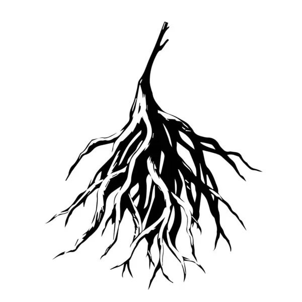 Beyaz arkaplanda izole edilmiş ağaç kökleri silüeti