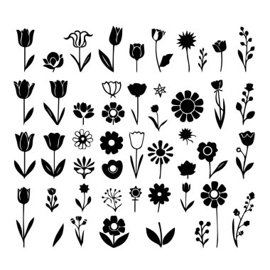 Çeşitli çiçek ve tomurcuklardan siyah ve beyaz çiçek koleksiyonu