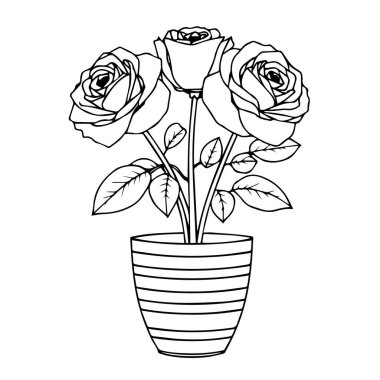 Çizgili saksıda üç gül Sanat silueti