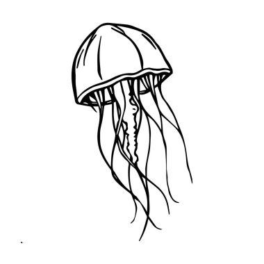 El çizimi siyah beyaz denizanası çizimi