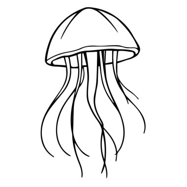 Basit bir deniz anası çizimi.