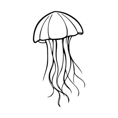 Basit bir deniz anası çizimi.