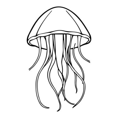 Basit bir deniz anası çizimi.