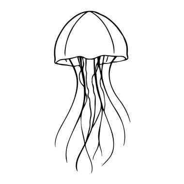 Basit bir deniz anası çizimi.