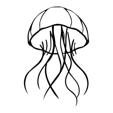 Basit bir deniz anası çizimi.