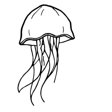 Basit bir deniz anası çizimi.