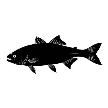 Bir balığın siyah ve beyaz silueti ayrıntılı illüstrasyon