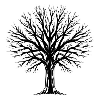 Kış mevsiminde çıplak ağaç silueti