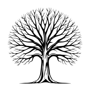 Kış mevsiminde çıplak ağaç silueti