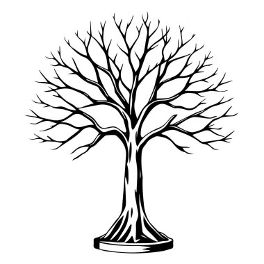Beyaz arka planda çıplak ağaç silueti botanik illüstrasyonuName