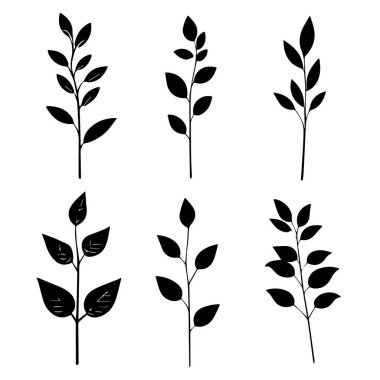 Altı basit botanik yaprak dalı silüeti resimleme
