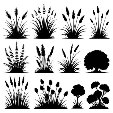 Tasarım için on iki çeşit çim ve çalı silueti koleksiyonu