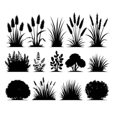 Tasarım projeleri için çeşitli bitki siluetleri koleksiyonu