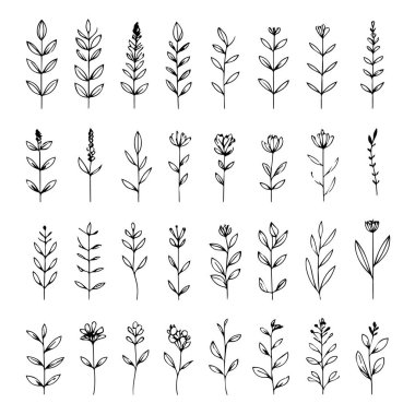 Minimalist çiçekli siluet koleksiyonu botanik çizgisi sanat silueti