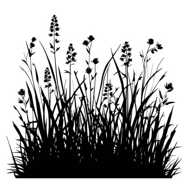 Yaban çiçeği çayır silueti grafik tasarım elementi