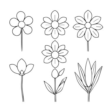 Çeşitli çiçek ve tomurcukların altı basit çizimi