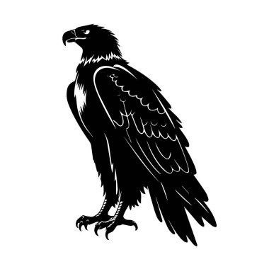 Görkemli kartal, beyaz bir arka plana karşı çarpıcı bir siyah siluetle tasvir edilmiş detaylı tüyleri ve keskin pençeleriyle gururla ayakta duruyor.