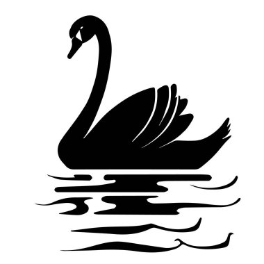 Siyah bir kuğunun vektör sanatı, beyaz arka planda izole edilmiş sakin sularda zarifçe yüzer.