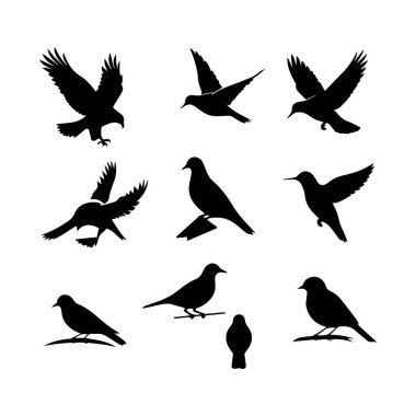 Beyaz arka planda izole edilmiş on iki kuş siluetinin vektör sanatı, çeşitli türleri havada ve tünemiş pozisyonlarda sergiliyor