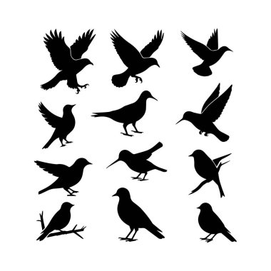 Beyaz arka planda izole edilmiş on iki kuş siluetinin vektör sanatı, farklı pozlarda çeşitli türleri resmediyor.