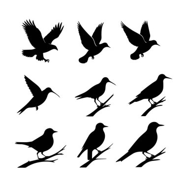 Beyaz arka planda izole edilmiş on iki kuş siluetinin vektör sanatı, farklı konumlardaki türleri göstermektedir