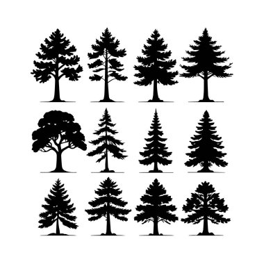 Beyaz arka planda izole edilmiş on iki farklı siluet ağacının vektör sanatı