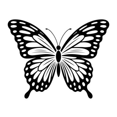 Karmaşık desenli bir siyah beyaz kelebeğin taşıyıcı sanatı beyaz arka planda izole edilmiştir.