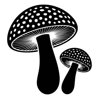 İki siyah mantarın vektör sanatı beyaz arkaplanda izole edilmiştir.