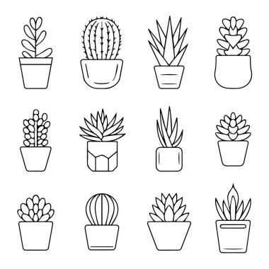 On İki Basit Çizgi Sanat Sulu ve Kaktüsü: Minimalist Botanik İllüstrasyonlar, Modern Ev Dekorasyonu, Temiz Tasarım Estetik.