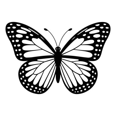 Beyaz arka planda izole edilmiş karmaşık desenleri olan siyah beyaz bir kelebeğin vektör sanatı