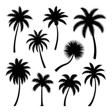 Tropikal manzaraları, yaz tatillerini ve sanatsal amaçlar için egzotik doğayı çağrıştıran siluet palmiye seti.