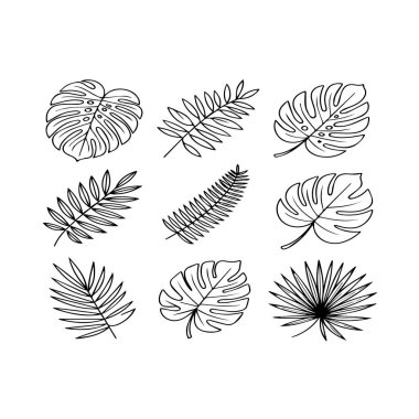 Beyaz arka planda izole edilmiş dokuz el yapımı tropikal yaprak koleksiyonu.