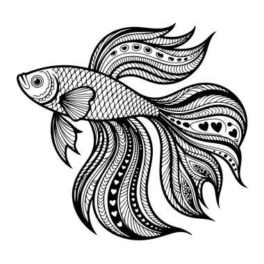 Süslü betta balık vektör çizimi beyaz arka planda dekoratif detaylarla