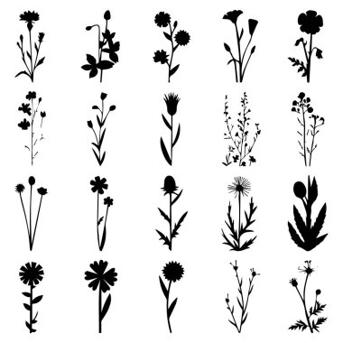 Beyaz arkaplanda izole edilmiş 20 adet yaban çiçeği vektör illüstrasyonunun vektör sanatı