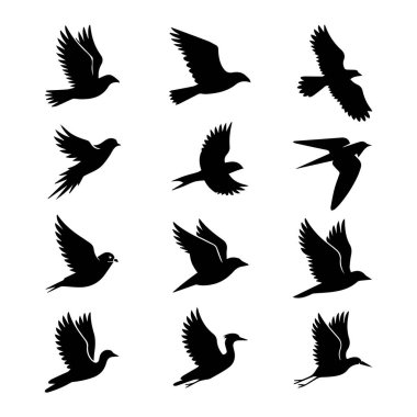 Beyaz arka planda izole edilmiş, çeşitli uçan pozlarda siyah kuş siluetleri koleksiyonu.