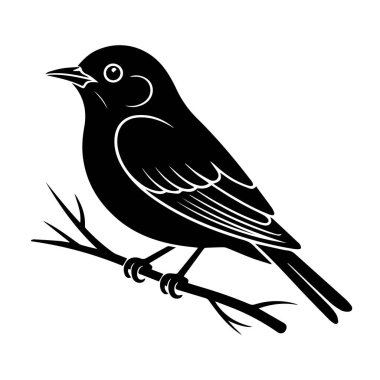 Beyaz arka planda izole edilmiş, ağaç dalına tünemiş küçük bir kuşun siluet vektör sanatı
