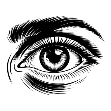 Beyaz arka planda izole edilmiş gölgeleme ve kirpiklerle insan gözünün siyah beyaz temsili vektör sanatı