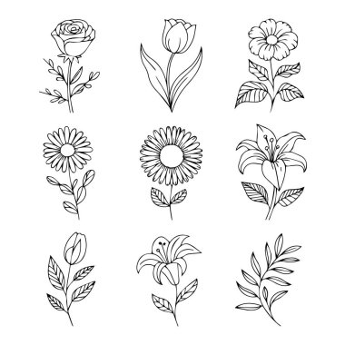 Beyaz arka planda izole edilmiş gül, lale, zambak ve papatya içeren el yapımı çiçek koleksiyonlarının vektör sanatı