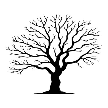 Çıplak yaprak döken bir ağacın silüet sanatının beyaz arka planda izole edilmiş birçok dalı vardır.