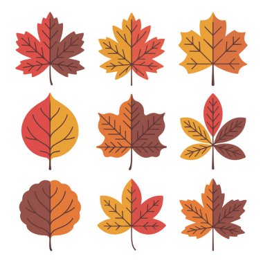 Beyaz arka planda bulunan akçaağaç ve meşe yaprakları da dahil olmak üzere çeşitli şekil ve renkte sonbahar yaprakları toplama vektör sanatı