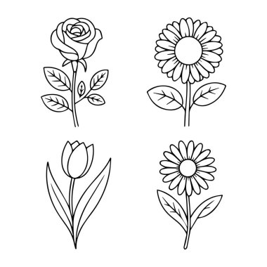 Gül, lale, papatya ve ayçiçeği de dahil olmak üzere dört çeşit çiçeğin taşıyıcı sanatı beyaz arka planda izole edilmiştir.