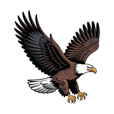 Kanatları açık uçan görkemli kel kartalın vektör sanatı, ayrıntılı tüylerini ve keskin pençelerini, beyaz arka planda izole edilmiş bir şekilde sergiliyor.