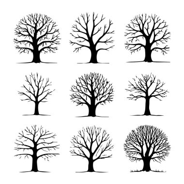 Beyaz arka planda izole edilmiş, karmaşık dal yapıları sergileyen, çıplak yapraklı ağaçlardan oluşan dokuz siyah siluet.