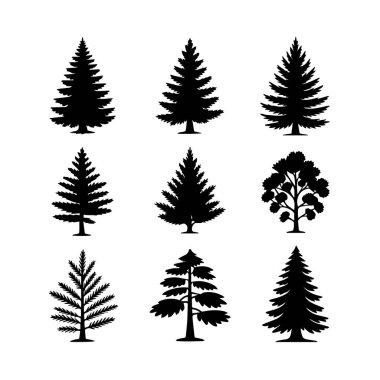 Beyaz arka planda izole edilmiş dokuz siyah siluet daima yeşil ağaç koleksiyonu