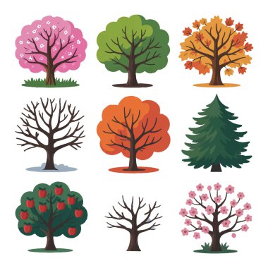 Bahar çiçekleri, yaz yeşili, sonbahar renkleri ve beyaz renkli çıplak kış dalları da dahil olmak üzere farklı mevsimlerde dokuz ağacın vektör sanatı.